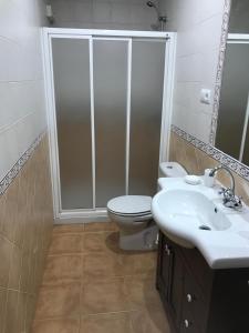 a bathroom with a shower and a toilet and a sink at Antequeruela Tourists Home in Toledo +25 photos