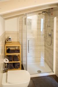 a bathroom with a shower and a white toilet at Agriturismo Ruc del Lac in Boario Terme
