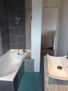 ein Badezimmer mit einer Badewanne und einem Waschbecken in der Unterkunft Le gîte du Canal des Ardennes in Le Chesne