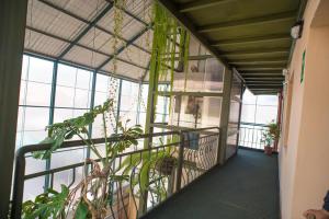 Kép Hotel Prisma Cusco szállásáról Cuzcóban a galériában