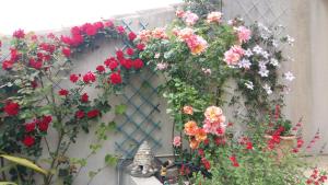 Gallery image of Au Bon Penequet in Pujaut