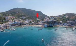 una vista aerea di una spiaggia con barche in acqua di L'Isolana Case Vacanza Luna 2 a Ponza