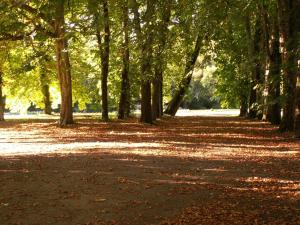 un sentiero in un parco con alberi e foglie sul terreno di Château de la Court d'Aron a Saint-Cyr-en-Talmondais
