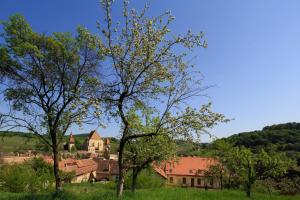 a house in a field with trees in the foreground at Unglerus Guesthouse in Biertan