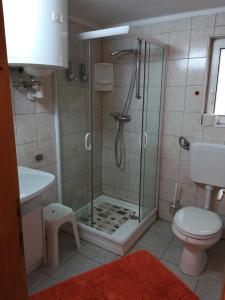 ein Bad mit einer Dusche, einem WC und einem Waschbecken in der Unterkunft BIO-Peisingerhof in Sankt Stefan ob Leoben