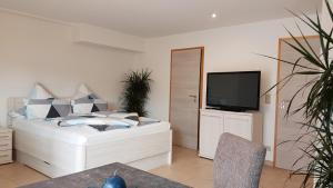a bedroom with a bed and a tv on a wall at Ferienwohnung am Betzelhübel in Ottweiler
