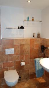 a bathroom with a toilet and a sink at Ferienwohnung am Betzelhübel in Ottweiler