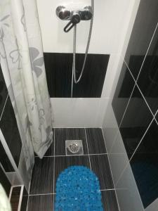 łazienka z prysznicem z niebieską matą w obiekcie Guesthouse Vila Puzic w mieście Banja Luka