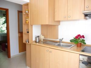 Kuchyňa alebo kuchynka v ubytovaní BALATON ART Apartman