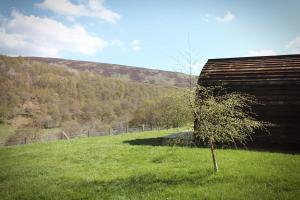 a tree in a field next to a building at Howe of Torbeg in Ballater