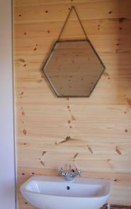a mirror hanging on a wooden wall with a sink at Howe of Torbeg in Ballater