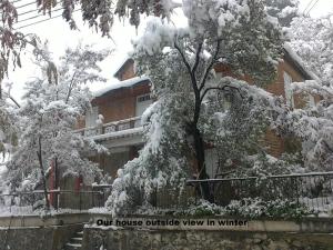 un albero ricoperto di neve di fronte a una casa di Metaxas Mansion a Kakopetria