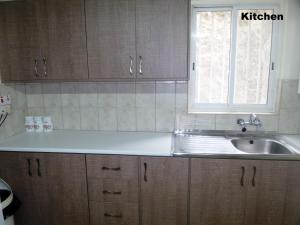 una cucina con un lavandino e una finestra di Metaxas Mansion a Kakopetria