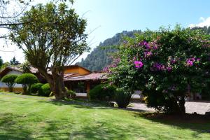 a house with trees and flowers in a yard at Hotel Boutique El Campirano in Amanalco de Becerra