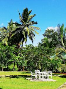 two white chairs and a table in a park with palm trees at Rajarata Lodge in Anuradhapura