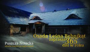 Fotografia z galérie ubytovania Bębnikąt Osada Leśna Puszcza Notecka v destinácii Bębnikat