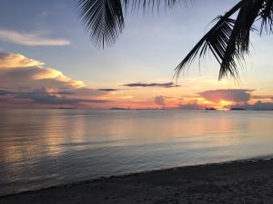a sunset on the beach with a palm tree at Neptune's Villa in Haad Rin