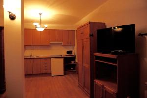 a kitchen with wooden cabinets and a flat screen tv at Apartamentos Turisticos Casa Pastor in Riaza