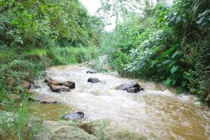 Fotografie z fotogalerie ubytování Rustling River Resort v destinaci Ooty