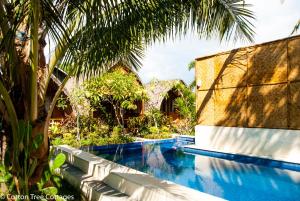 una piscina junto a una casa con una palmera en Cotton Tree Cottages, en Gili Trawangan