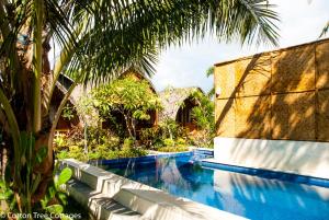 a swimming pool next to a house with a palm tree at Cotton Tree Cottages in Gili Trawangan