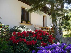 a garden with red and purple flowers in front of a building at Fewo Lutterow in Rheinsberg