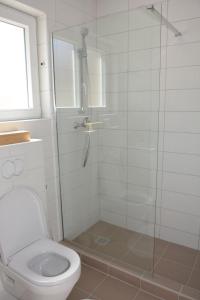 a bathroom with a shower and a toilet at Taris in Senj