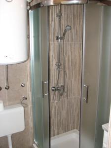 a shower with a glass door in a bathroom at Apartment Vito in Plitvička Jezera