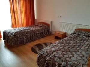 a hotel room with two beds and a window at Hotel Floare de Colt in Teiuş