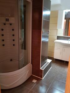 a bathroom with a shower and a sink at Hotel Floare de Colt in Teiuş