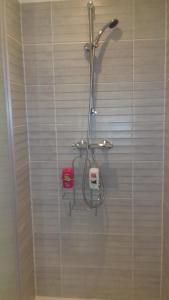 a shower in a bathroom with a glass wall at Gite de la forêt in Les Hogues +59 photos
