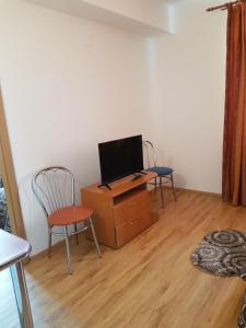 - un salon avec une télévision et deux chaises dans l'établissement Hotel Floare de Colt, à Teiuş
