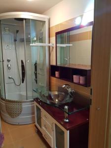 La salle de bains est pourvue d'un lavabo et d'une douche. dans l'établissement Hotel Floare de Colt, à Teiuş