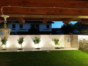 a patio with three trees in a yard at night at Villa Sabaudia in Sabaudia