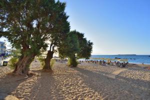 two trees on a sandy beach near the ocean at Tellus City in Chania Town