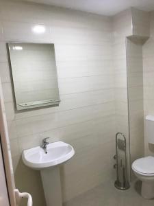 La salle de bains est pourvue d'un lavabo et de toilettes. dans l'établissement Vip Apartmani Canj, à Čanj