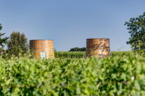 two brick towers in a field with bushes at Coup 2 Foudres in Saint-Jean-de-Blaignac