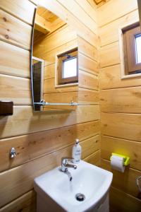 une salle de bain avec un lavabo et un miroir dans l'établissement Domki Letniskowe Roztocze, à Zwierzyniec 60 autres photos