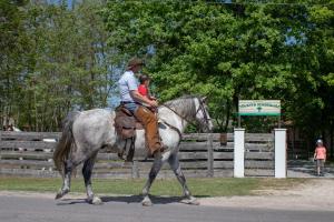 a man and a child riding on a horse at Tölgyfa Vendégház in Kiskőrös