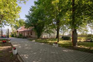a walkway in a park with trees and a house at Tölgyfa Vendégház in Kiskőrös