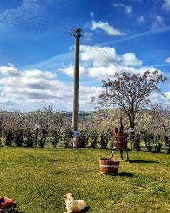 a bench in a field with a dog laying on the grass at Casa di Campagna in Pancole