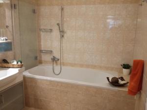 布拉格的住宿－Garden Apartment，设有带浴缸和淋浴的浴室。