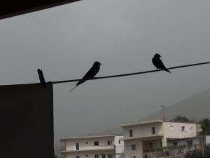 Fotografie z fotogalerie ubytování Sunset Guest house v destinaci Himare