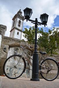 Andar de bicicleta em Pao 100 Pressa ou nos arredores