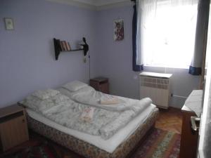 キシュクンマイシャにあるERIKA Vendégházの窓付きの客室の小さなベッド1台分です。