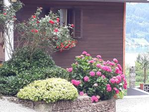 Gallery image of Pension Guggenbichler in Seeboden