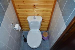 ein weißes WC im Bad mit einer Holzwand in der Unterkunft Gold Mountain House in Moutoullas + 21 Fotos