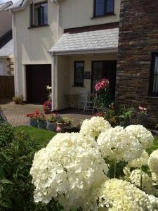 a bunch of white flowers in front of a house at Home from Home B&B in Hartland