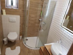 a bathroom with a shower and a toilet and a sink at Apartment Roko Kolinda 1 in Bibinje +10 photos