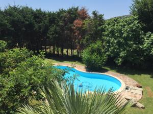 einen Pool in einem Garten mit Bäumen in der Unterkunft Chia - Casa Margherita in Chia